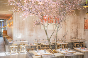 Naruto – La fureur des ramen