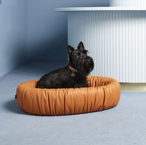 16 accessoires élégants pour choyer vos animaux de compagnie