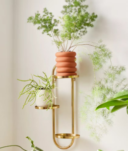 25 idées de cadeaux irrésistibles pour les amoureux des plantes