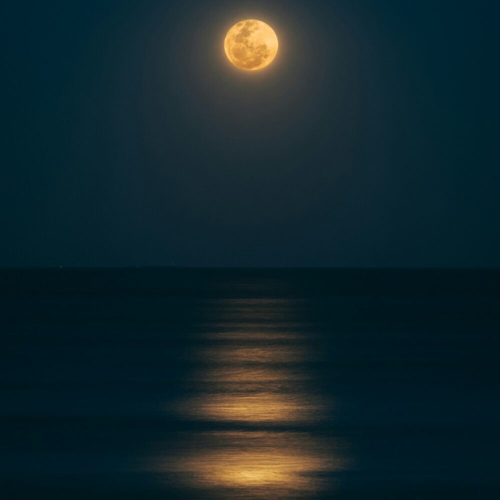 Pleine lune du 5 novembre : voici ce qu’elle va déclencher chez ces 4 signes astrologiques