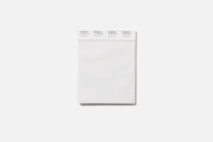 Couleur de l'année 2026 Cloud Dancer blanc