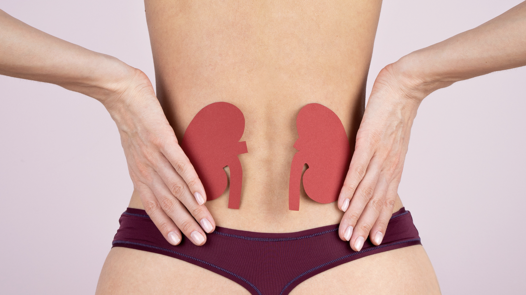 journée mondiale du rein 2026