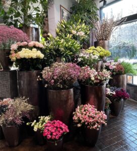 Meylan Fleurs