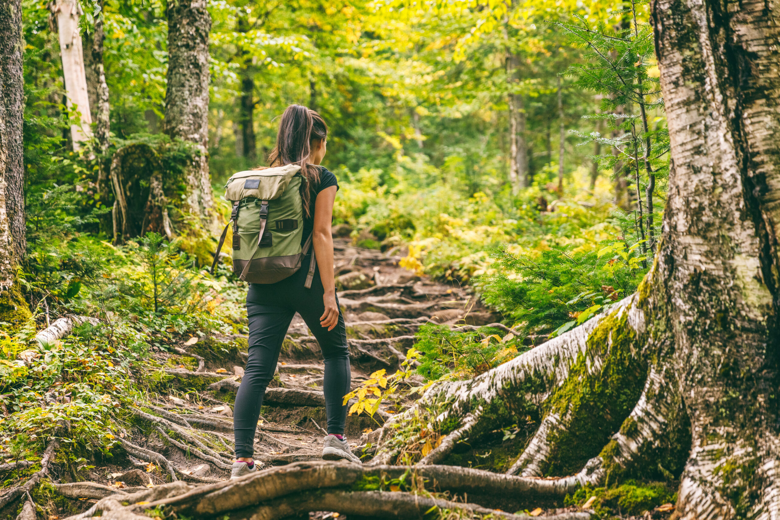 Chemin de Compostelle : pourquoi ce pèlerinage attire de plus en plus de randonneurs