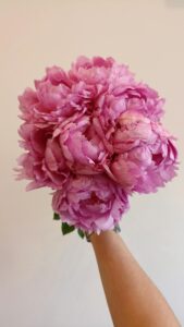Bouquet de pivoines