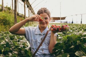 Femme blanche brune avec des lunettes en train de récolter des fraises dans un champ