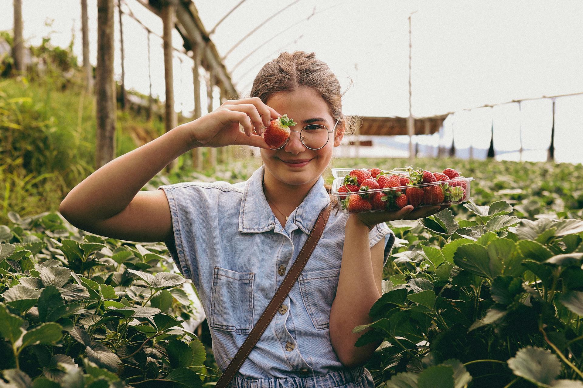 Femme blanche brune avec des lunettes en train de récolter des fraises dans un champ