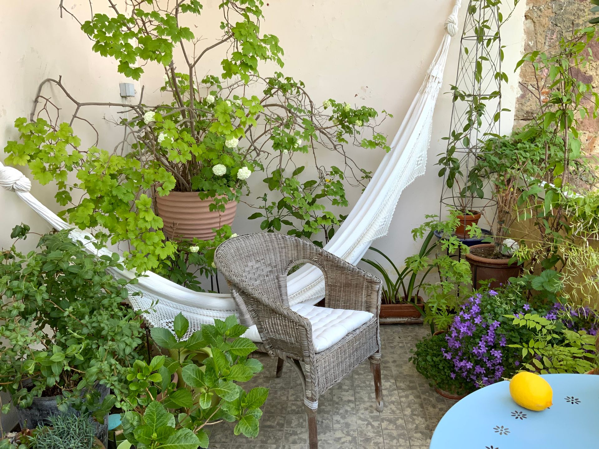 6 conseils pour avoir une belle terrasse fleurie tout l&rsquo;été