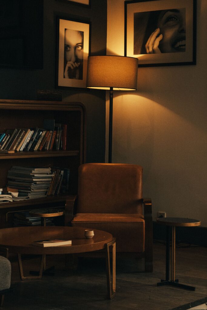 pièce avec lumière tamisée avec une chaise et une bibliothèque